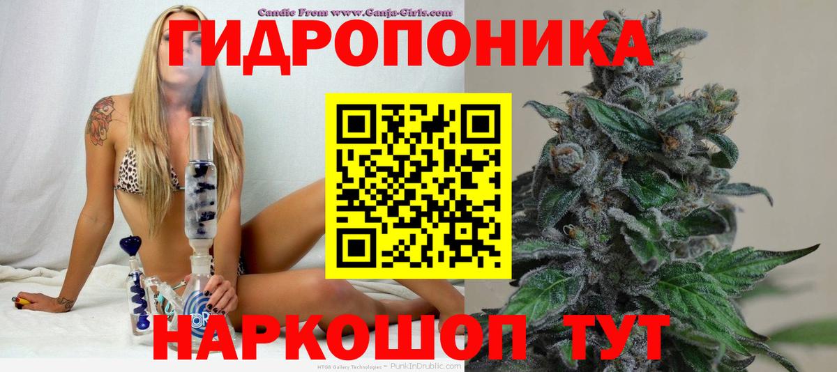 Канаш  МАРИХУАНА индика  МАРИХУАНА конопля  Конопля White Widow  Вход с VPN 